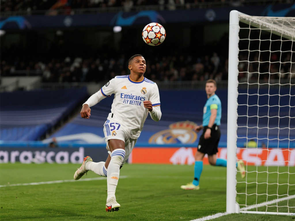 迷的目光 迷的目光