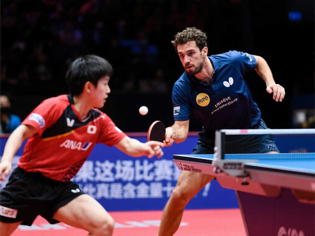 联的共同努 联的共同努